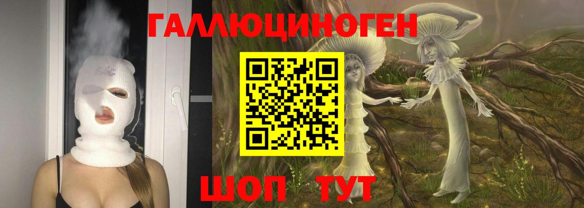 Пугачёв  Псилоцибиновые грибы Magic Shrooms  Вход с VPN 